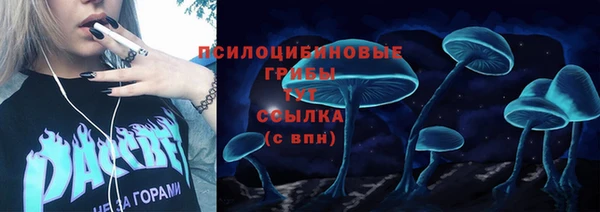 гидра Козловка