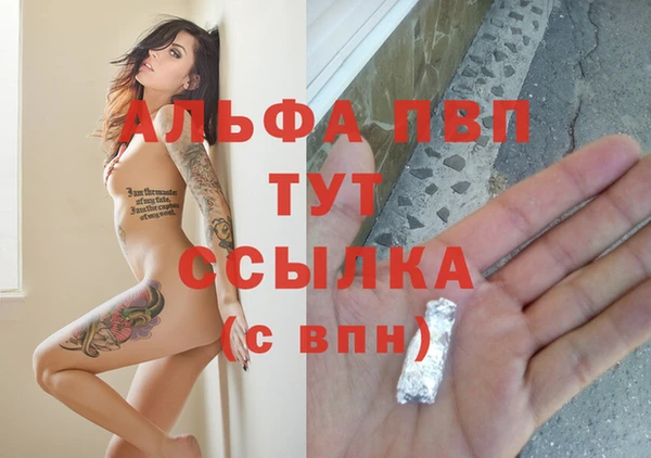 гидра Козловка