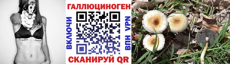 Галлюциногенные грибы ЛСД  Купить  Протвино 